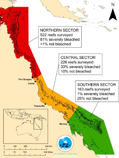 La partie nord de la Grande barrière de corail a été la plus touchée par l'épisode 2016 de blanchiment. © ARC Centre of Excellence for Coral Reef Studies - James Kerry